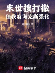 《末世搜打撤,但我有海克斯强化》小说封面