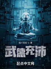 《武德充沛》小说封面
