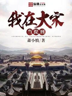 《我在大宋当提刑》小说封面