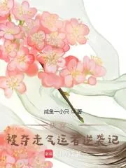 《快穿:被夺走气运者逆袭记》小说封面