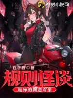 《规则怪谈：诡异的网恋对象》小说封面