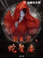 《剥皮匠，蛇娶妻》小说封面