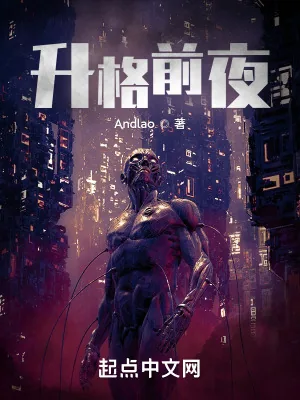 《升格前夜》小说封面