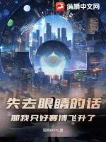 《失去眼睛的话,那我只好赛博飞升了》小说封面