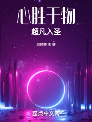 《心胜于物,超凡入圣》小说封面
