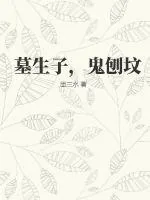 《墓生子，鬼刨坟》小说封面