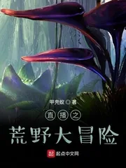 《直播之荒野大冒险》小说封面