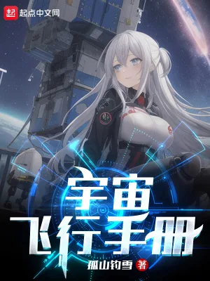 《宇宙飞行手册》小说封面