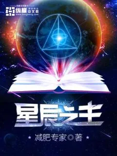 《星辰之主》小说封面