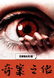 《奇案之侣》小说封面