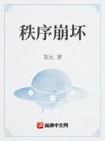 《秩序崩坏》小说封面