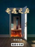 《奇遇之后》小说封面