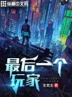 《最后一个玩家》小说封面
