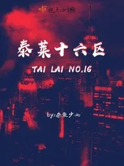 《泰莱十六区》小说封面