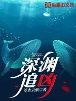 《深渊追凶》小说封面