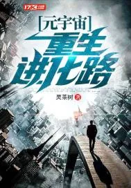 《元宇宙:重生进化路》小说封面