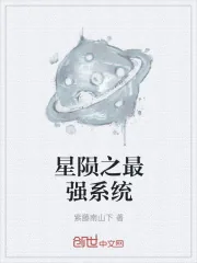 《星陨之最强系统》小说封面