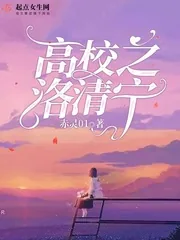 《高校之洛清宁》小说封面