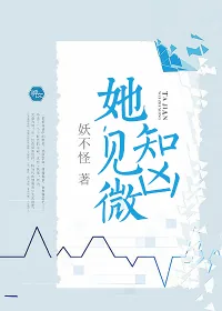 《她,见微知凶。》小说封面
