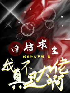 《回档求生:我真不是大佬啊》小说封面