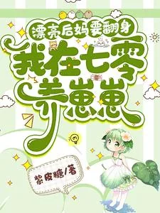 《漂亮后妈要翻身，我在七零养崽崽》小说封面