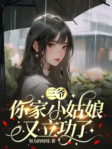 《三爷，你家小姑娘又立功了》小说封面