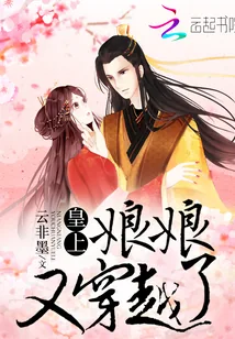 《皇上,娘娘又穿越了!》小说封面
