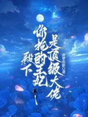 《殿下，你抢的王妃是顶级大佬》小说封面