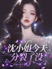 《沈小姐，今天分裂了没？》小说封面