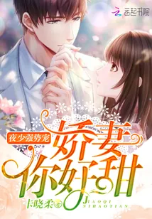 《夜少强势宠:娇妻,你好甜!》小说封面