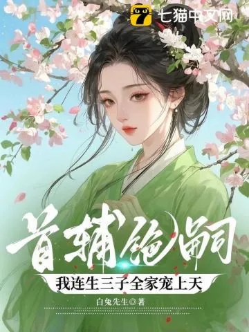 《首辅绝嗣，我连生三子全家宠上天》小说封面