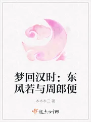 《梦回汉时:东风若与周郎便》小说封面