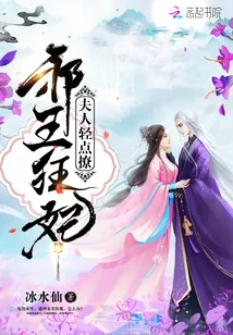 《夫人,轻点撩:邪王狂妃》小说封面