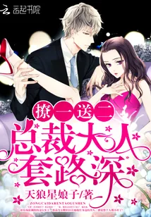 《撩一送二:总裁大人,套路深!》小说封面