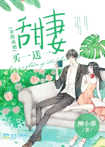 《染指成婚,甜妻买一送一》小说封面