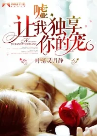 《嘘,让我独享你的宠》小说封面