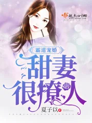《霸道宠婚:甜妻,很撩人》小说封面