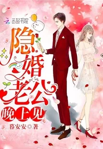 《隐婚老公,晚上见!》小说封面