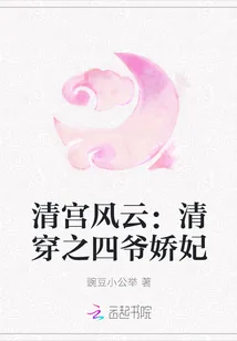 《清宫风云:清穿之四爷娇妃》小说封面