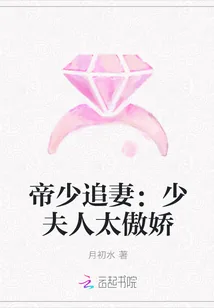 《帝少追妻:少夫人太傲娇》小说封面