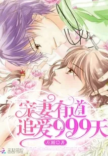《宠妻有道:追爱999天》小说封面