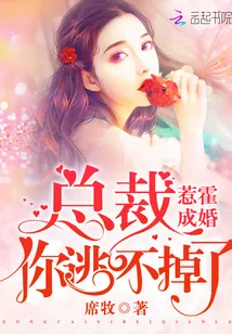 《惹霍成婚:总裁,你逃不掉了!》小说封面