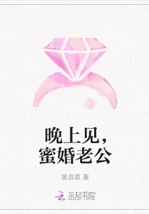 《晚上见,蜜婚老公》小说封面