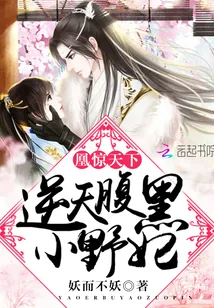 《凰惊天下：逆天腹黑小野妃》小说封面