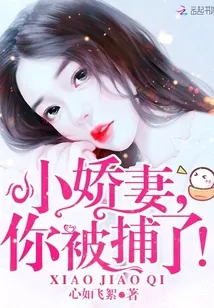 《小娇妻,你被捕了!》小说封面
