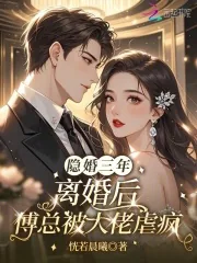 《隐婚三年，离婚后傅总被大佬虐疯》小说封面