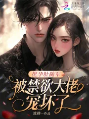 《挺孕肚随军，被禁欲大佬宠坏了！》小说封面