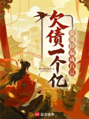 《欠债一个亿?游戏捡漏成首富》小说封面
