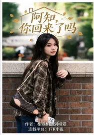 《阿知,你回来了吗》小说封面