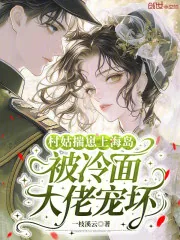 《村姑揣崽上海岛，被冷面大佬宠坏》小说封面